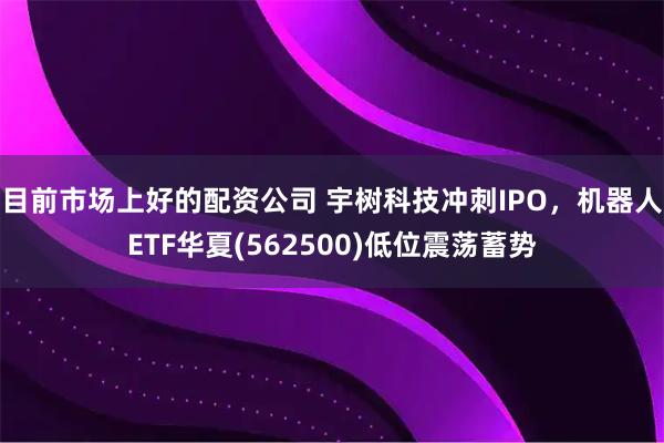 目前市场上好的配资公司 宇树科技冲刺IPO，机器人ETF华夏(562500)低位震荡蓄势
